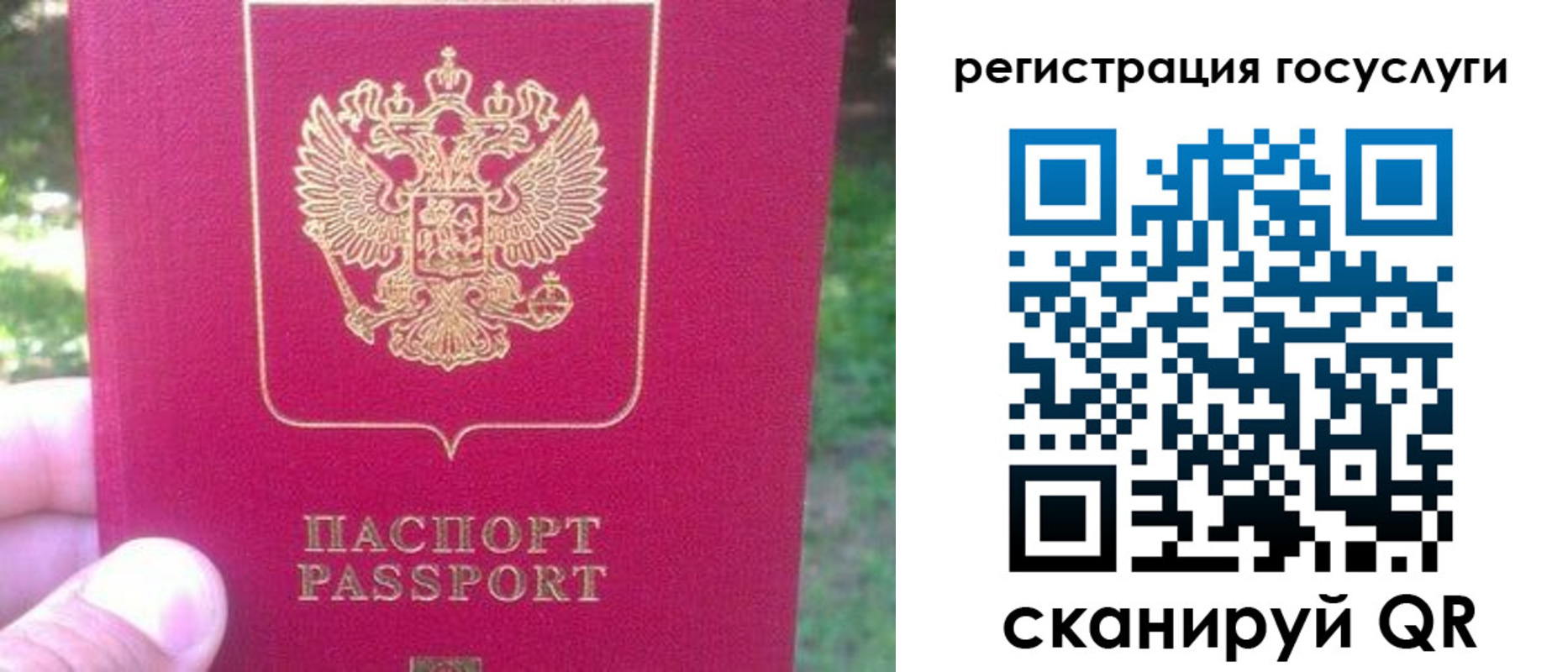 временная прописка в Белгородской области